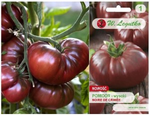 POMIDORY BRĄZOWE NOIRE DE CRIMEE NASIONA 0,1g