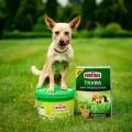 TRAWA SAMOZAGĘSZCZAJĄCA NASIONA SUBSTRAL 5kg 1055