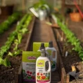 NAWÓZ ORGANICZNY DO ROŚLIN W DOMU I NA BALKONIE 1l 1097