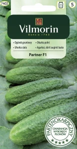 OGÓREK GRUNTOWY PARTNER NASIONA 3g