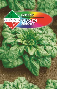 SZPINAK OLBRZYM ZIMOWY MROZOODPORNY NASIONA 20g