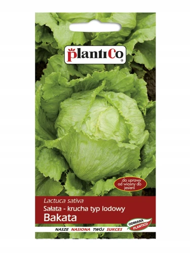 SAŁATA LODOWA KRUCHA BAKATA NASIONA 1g