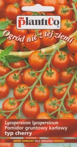 POMIDOR KARŁOWY CHERRY DROBNY MASKOTKA NASIONA