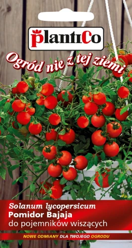 POMIDOR CHERRY BAJAJA DO POJEMNIKÓW WISZĄCYCH