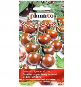 POMIDOR KOKTAJLOWY BLACK CHERRY NASIONA 200mg