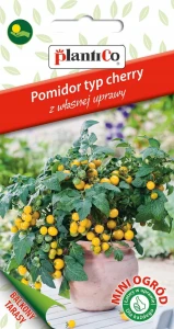 POMIDOR CHERRY KARŁOWY ŻÓŁTY AZTEK NASIONA 200mg