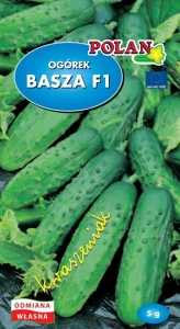 OGÓREK GRUNTOWY KWASZENIAK BASZA F1 NASIONA 5g