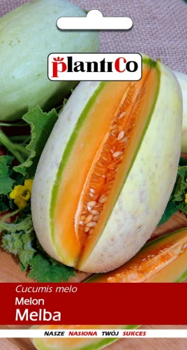 MELON MELBA PLENNA WCZESNA NASIONA PLANTICO 1g