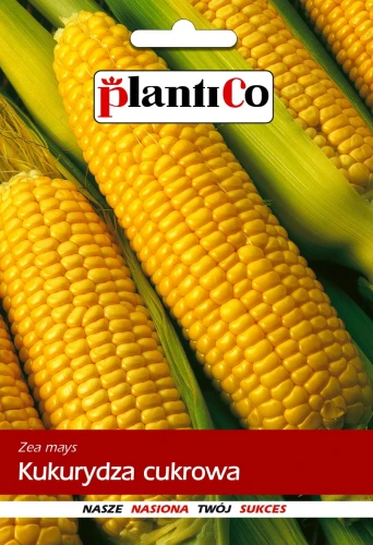 KUKURYDZA CUKROWA F1 NASIONA PLANTICO 10g