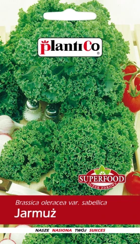 JARMUŻ KĘDZIERZAWY SUPERFOOD NASIONA 2g