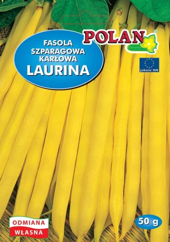 FASOLA SZPARAGOWA KARŁOWA LAURINA NASIONA 50g