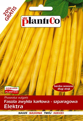 FASOLA SZPARAGOWA KARŁOWA ELEKTRA NASIONA 48g
