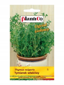 TYMIANEK WŁAŚCIWY BYLINA NASIONA ZIÓŁ 300mg