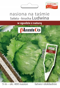 SAŁATA KRUCHA LUDWINA NASIONA NA TAŚMIE Z NAWOZEM