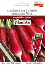 RZODKIEWKA DŁUGA MILA NASIONA NA TAŚMIE Z NAWOZEM