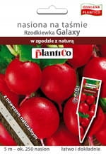RZODKIEWKA CZERWONA GALAXY NASIONA NA TAŚMIE+NAWÓZ