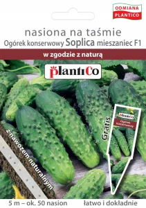 OGÓREK GRUNTOWY SOPLICA NASIONA NA TAŚMIE + NAWÓZ