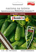OGÓREK GRUNTOWY MAKSIMUS NASIONA NA TAŚMIE + NAWÓZ