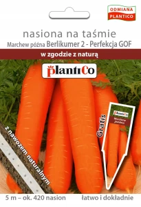 MARCHEW PÓŹNA BERLIKUMER 2 NASIONA NA TAŚMIE