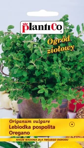 OREGANO LEBIODKA POSPOLITA NASIONA 0,1g