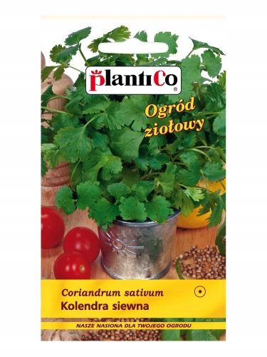 KOLENDRA SIEWNA NASIONA ZIÓŁ PLANTICO 3g