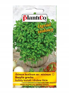 BAZYLIA GRECKA MINI DROBNE LIŚCIE NASIONA 0,5g
