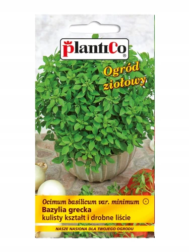 BAZYLIA GRECKA MINI DROBNE LIŚCIE NASIONA 0,5g