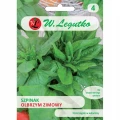 SZPINAK OLBRZYM ZIMOWY DUŻO WITAMIN NASIONA 20g 1404
