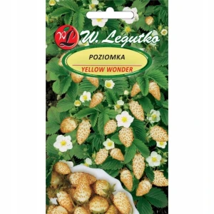 POZIOMKA ŻÓŁTA YELLOW WONDER NASIONA 0,1g