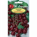 POMIDOR KOKTAJLOWY BLACK CHERRY WYSOKI NASIONA 1472