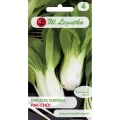 KAPUSTA CHIŃSKA PAK-CHOI NASIONA 1g 1548