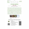 KAPUSTA CHIŃSKA PAK-CHOI NASIONA 1g 1549