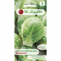 KAPUSTA BRUKSELSKA GRONINGER NASIONA 1g 1550