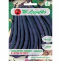 FASOLA SZPARAGOWA PURPLE TEEPEE FIOLETOWA 40g 1566