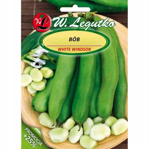 BÓB OGRODOWY WINDSOR BIAŁY LEGUTKO NASIONA 50g