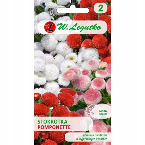 STOKROTKA POSPOLITA POMPONETTE MIX NASIONA 0,1g