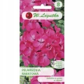 PELARGONIA RABATOWA GAMA F1 RÓŻOWA NASIONA 50mg 1684