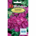 PELARGONIA RABATOWA GAMA FIOLETOWA F1 NASIONA 30mg 1686