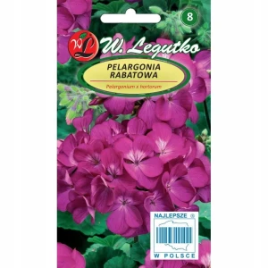 PELARGONIA RABATOWA GAMA FIOLETOWA F1 NASIONA 30mg