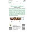 PELARGONIA RABATOWA GAMA BIAŁA F1 NASIONA 0,05g 1691