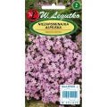 NIEZAPOMINAJKA ALPEJSKA RÓŻOWA NASIONA 0,3g 1700