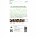 NIEZAPOMINAJKA ALPEJSKA NIEBIESKA NASIONA 0,3g 1703