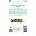 LOBELIA PRZYLĄDKOWA ZWISŁA NIEBIESKA NASIONA 0,2g 1756