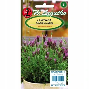 LAWENDA FRANCUSKA CIEMNOPURPUROWA NASIONA 0,03g