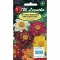 DALIA ZMIENNA KOŁNIERZYKOWATA MIESZANKA DANDY 1g 1809