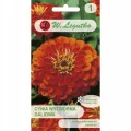 CYNIA WYTWORNA DALIOWA POMARAŃCZOWA ORANGE KING 1g 1818