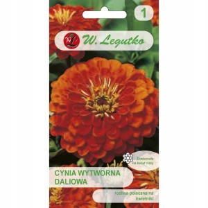 CYNIA WYTWORNA DALIOWA POMARAŃCZOWA ORANGE KING 1g