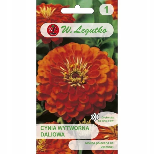CYNIA WYTWORNA DALIOWA POMARAŃCZOWA ORANGE KING 1g