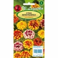 CYNIA MEKSYKAŃSKA MIESZANKA ODMIAN LEGUTKO 0.5g 1838