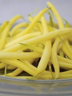 FASOLA ŻÓŁTA LOTOS NASIONA SPÓJNIA 50g